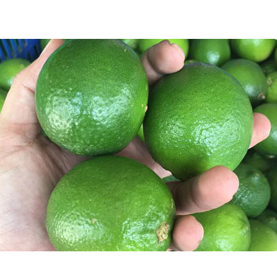 Chanh Xanh Không Hạt quả đẹp 1kg