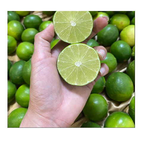 Chanh Xanh Không Hạt quả đẹp 1kg