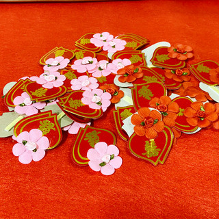 HOA CÀI ÁO & STICKER DÁN HAI HỌ