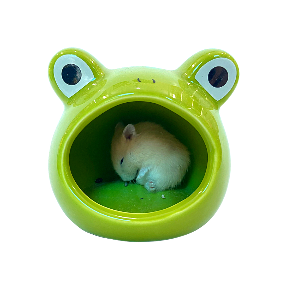 Nhà ngủ sứ cho hamster, thỏ, nhím