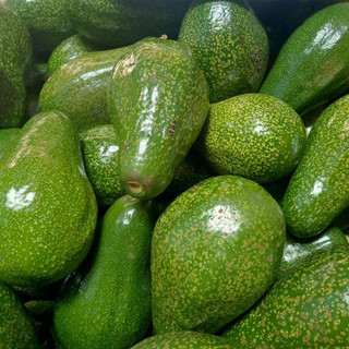 BƠ LÂM ĐỒNG (Sáp-Pin-Booth-034-Núi)