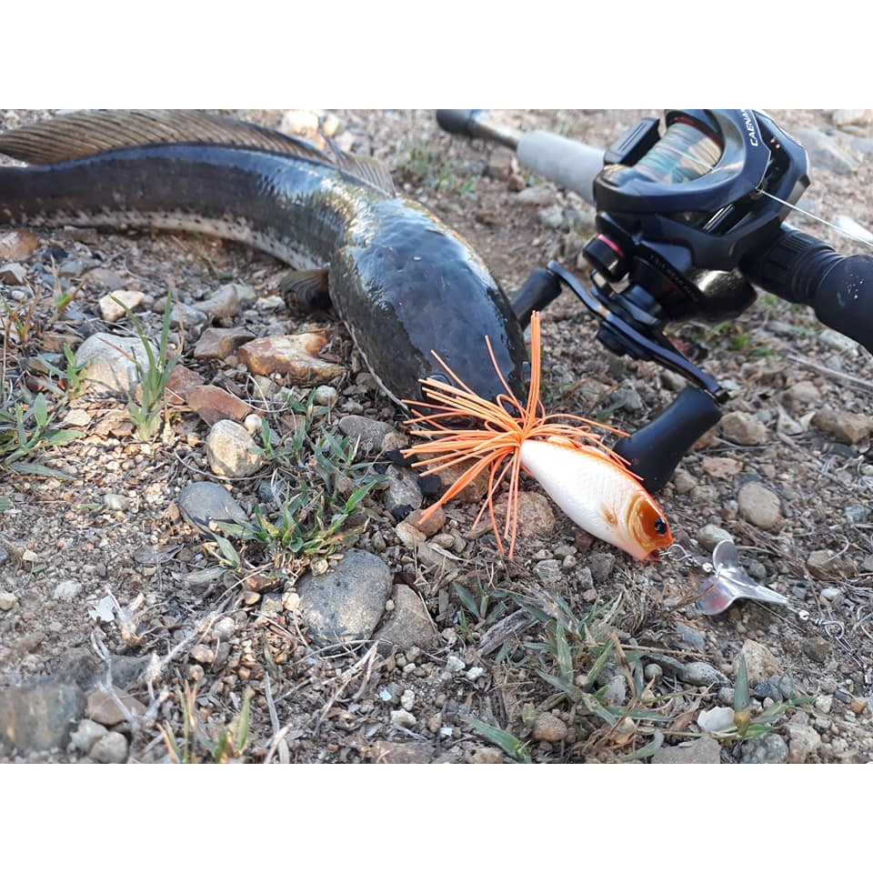 Mồi câu lure cá lóc Cá chẽm JAWS StyX Thái Lan Hita Lure