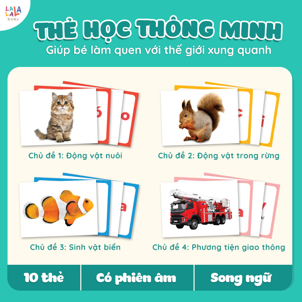 Shop Bố Ken LALALA BABY Bộ Thẻ Học Glenn Doman Song ngữ Anh Việt - Thế Giới Xung Quanh 100 Thẻ