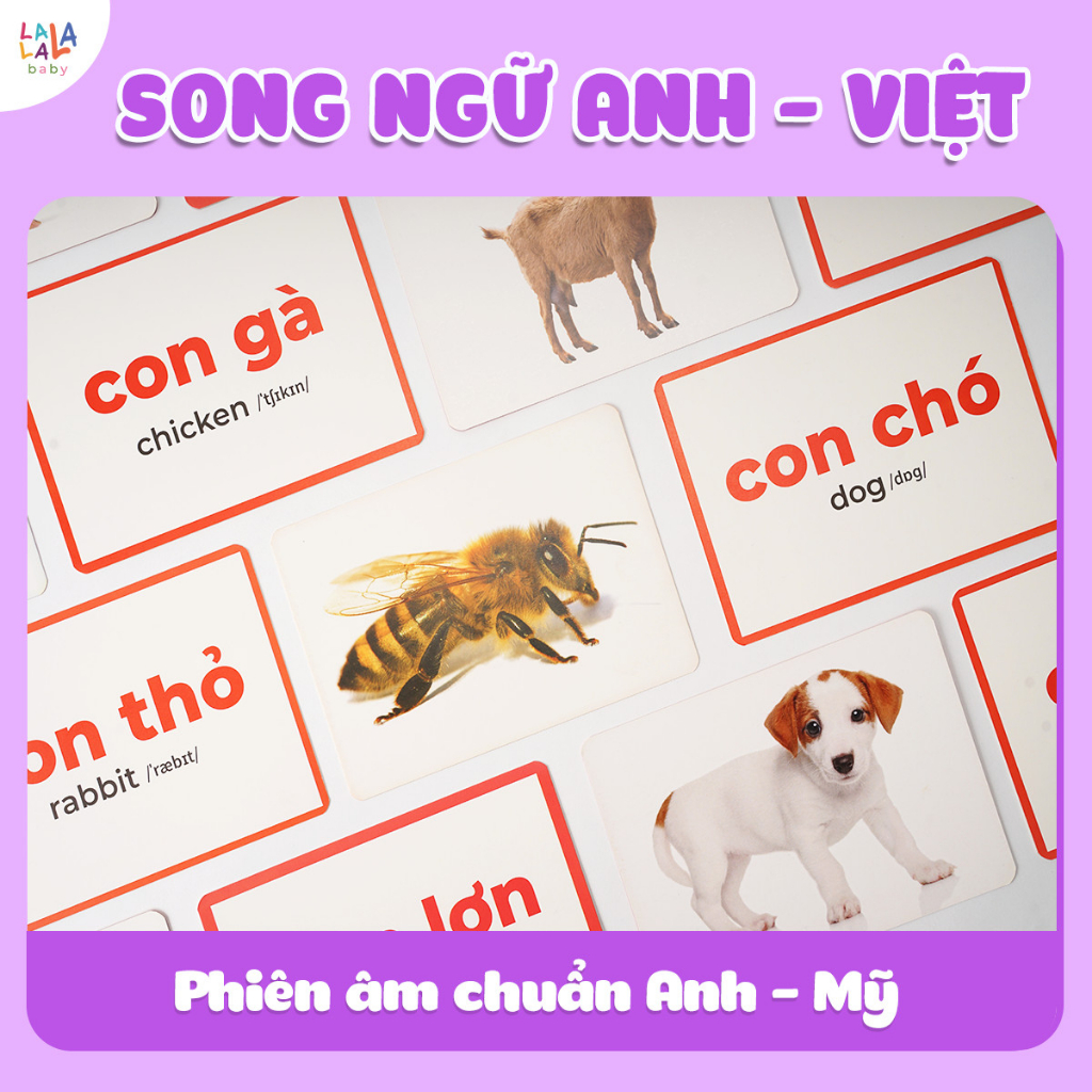 Shop Bố Ken LALALA BABY Bộ Thẻ Học Glenn Doman Song ngữ Anh Việt - Thế Giới Xung Quanh 100 Thẻ