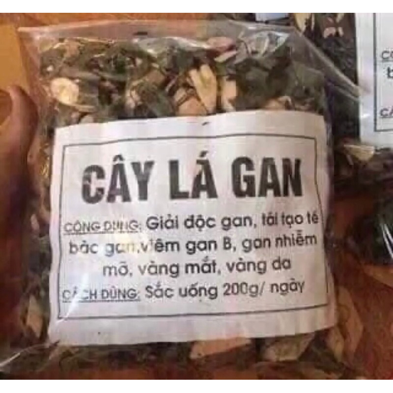 1Kg Cây lá mát gan thơm mới ,dễ uống ngon cực