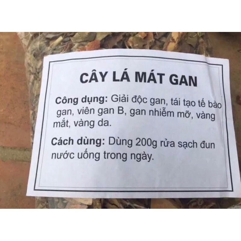 1Kg Cây lá mát gan thơm mới ,dễ uống ngon cực