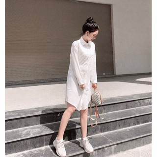 Đầm sơ mi basic tay dài 3 màu (kèm hình thật)