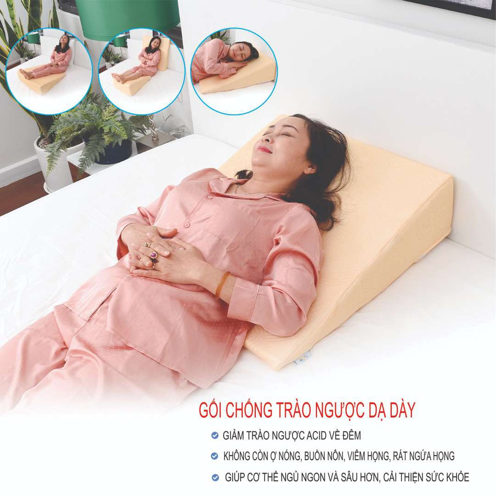 Gối Chống Trào Ngược Dạ Dày Người lớn, gối kê đầu kê chân, gối tựa lưng by SOC's BEDDING