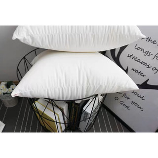 Ruột Gối vuông 45*45cm