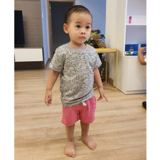 T-shirt/ Áo thun bé trai ngắn tay in họa tiết con cá (10-15kg)