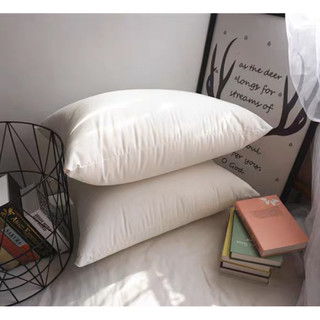 Ruột Gối vuông 45*45cm