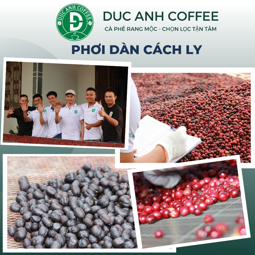 1kg Cà Phê Nguyên Chất D82  Rang Mộc Dùng Pha Phin, Pha Máy, Đậm Vị, Chua Nhẹ