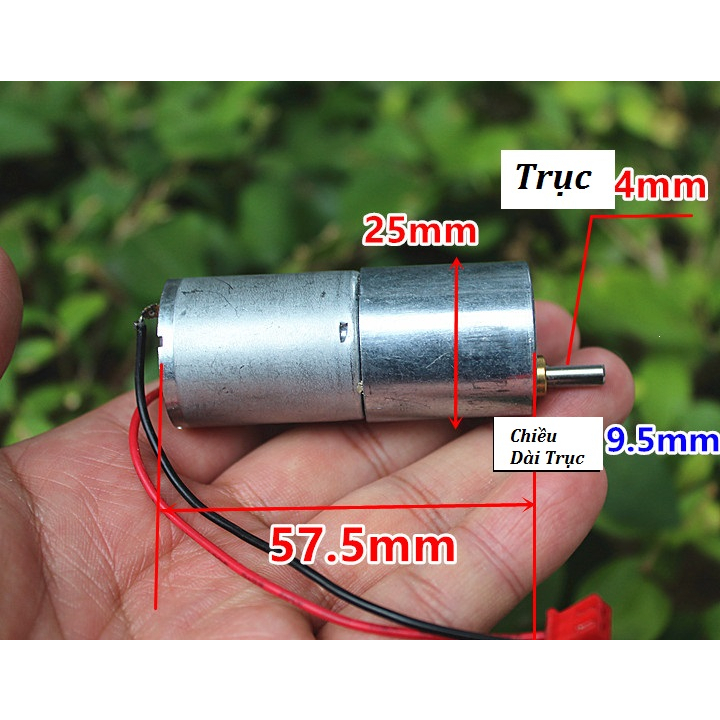 Động Cơ Giảm Tốc 12V 20RPM 44RPM LS220 LS370 Mô Tơ Giảm Tốc Mini 3-12V 20 đến 40 Vòng Phút - Shop Huyền Trang
