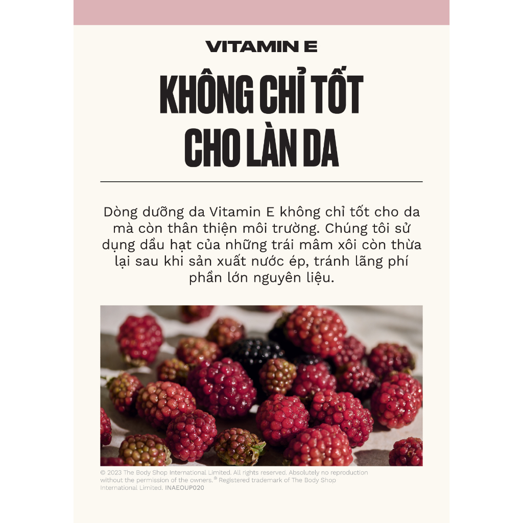 [Sample tặng không bán] Kem dưỡng ẩm ban ngày The Body Shop Vitamin E Moisture Day Cream 1ml