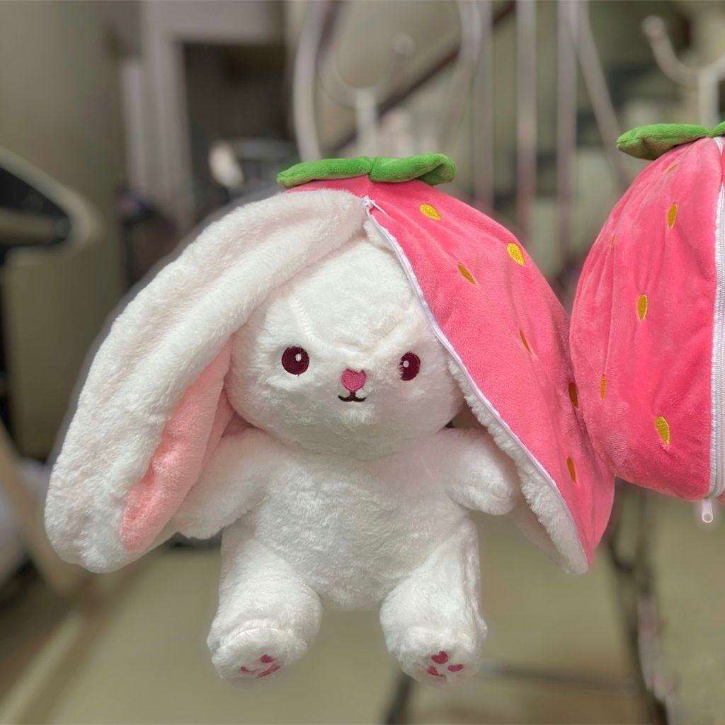 Gấu bông thỏ dâu tai dài cà rốt 30 - 40cm 2 trong 1 trắng mini cute dễ thương cho bé EDA'S HOUSE
