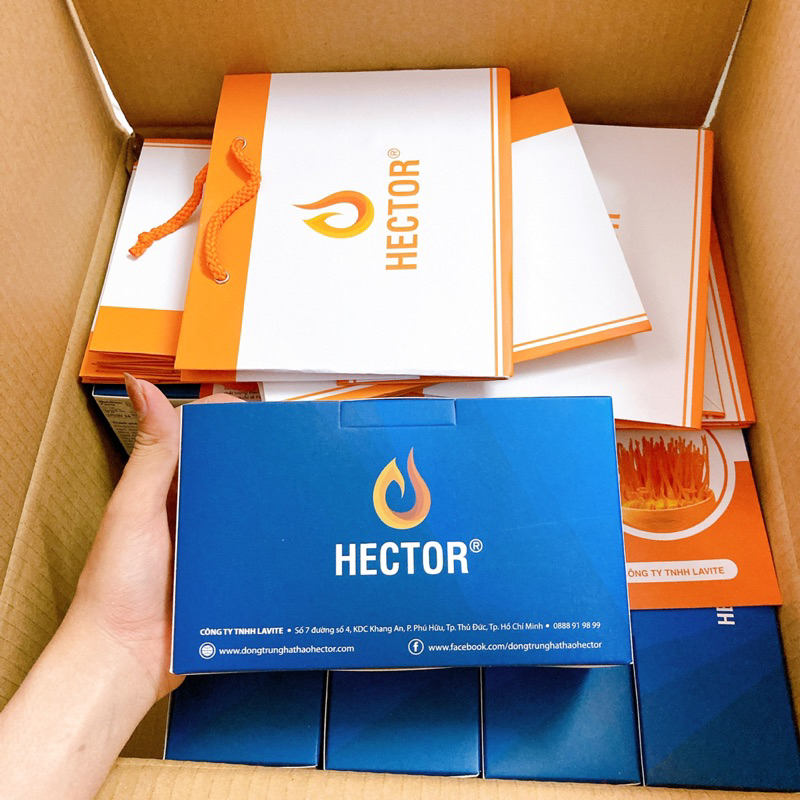 Nước uống hector sâm Đông trùng hạ thảo hộp 10 chai