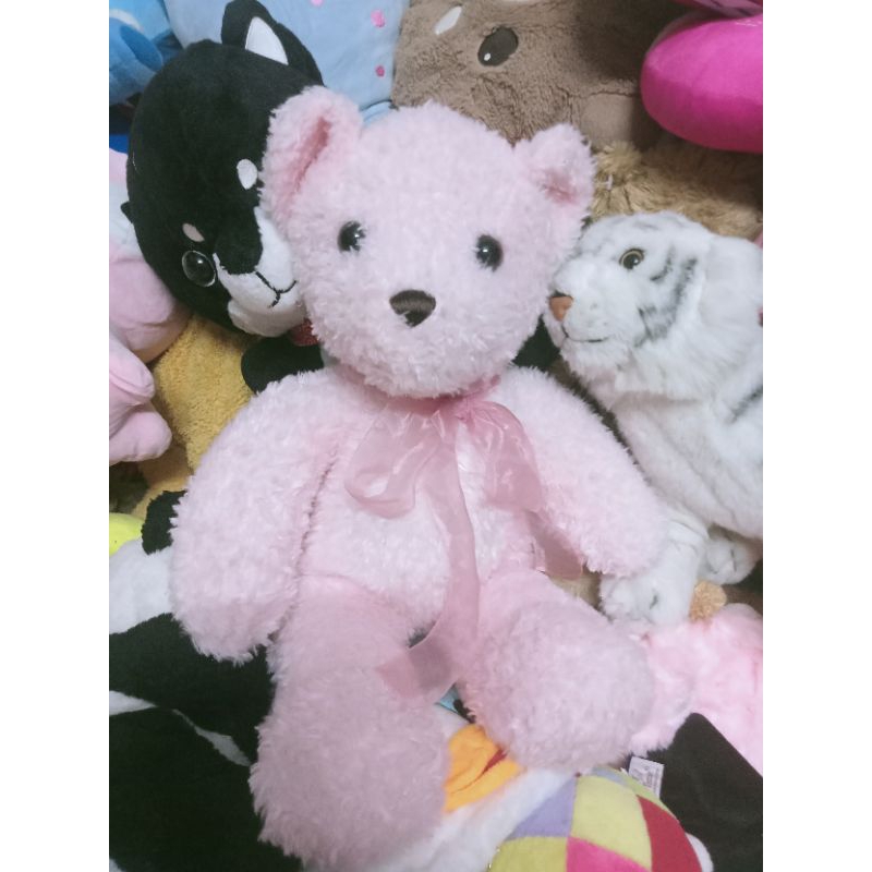 Gấu bông hàng kiện size 40-50cm