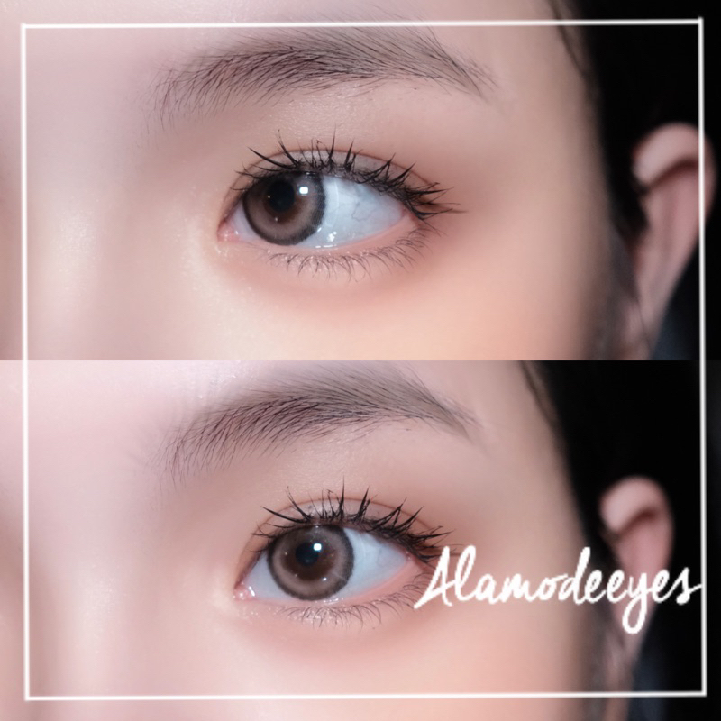 Lens nâu mật ong viền