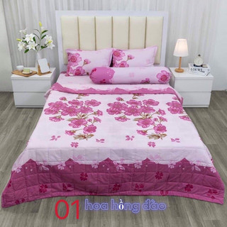 sét drap vỏ gối 4 món