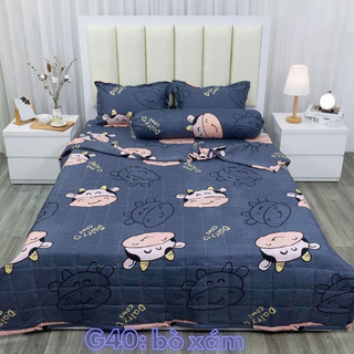 sét drap vỏ gối 4 món