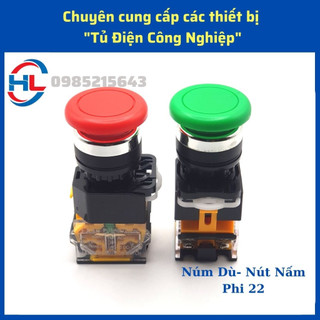 Nút nhấn phi 22, nút nhấn nhả/giữ, Công tắc xoay (Nhiều loại)