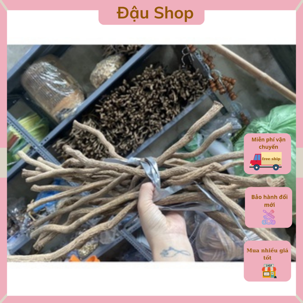 Phôi cầu thuố.c dành cho đủ các loại chim dài 40cm