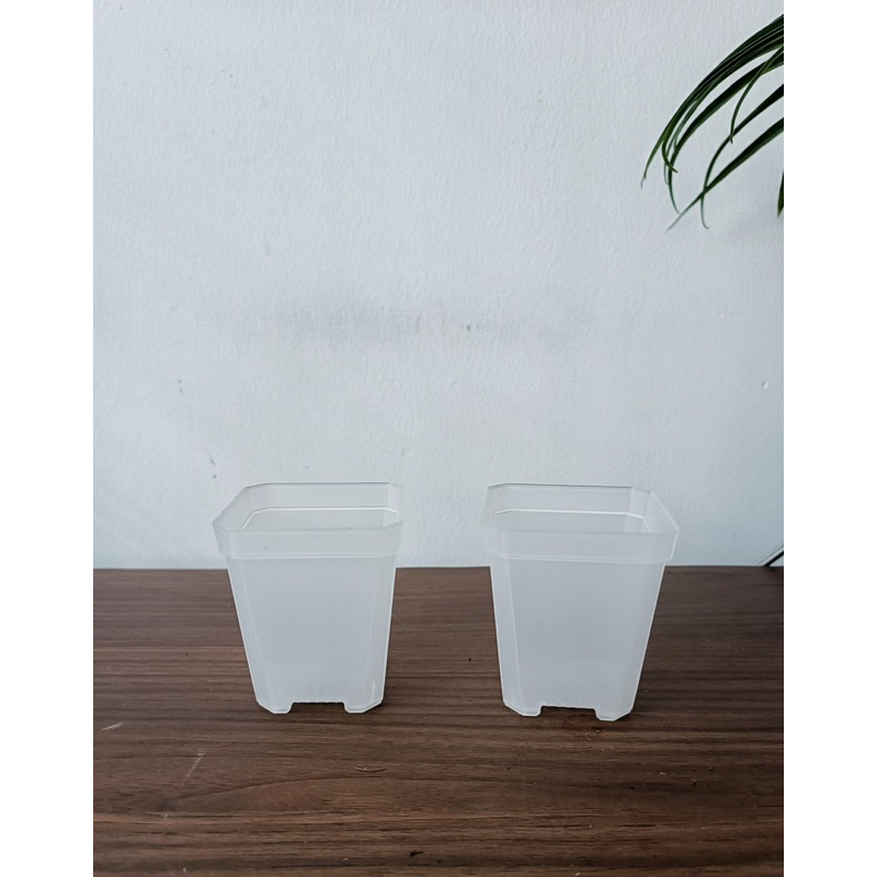 Chậu nhựa cứng trồng cây có lỗ thoát nước tiện dụng