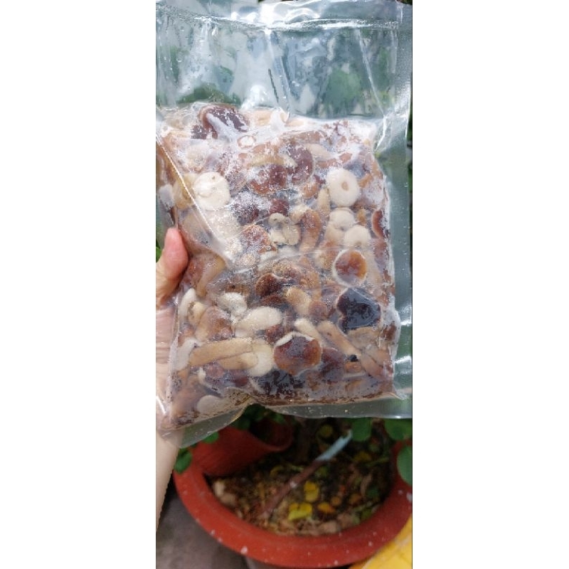 1ki Nấm tràm thiên nhiên,đã sơ chế sạch sẽ. Giao hỏa tốc TPHCM