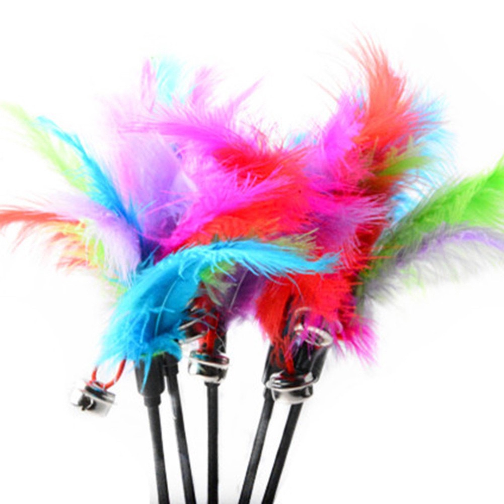 Đồ chơi cho mèo cần câu nhựa gắn lông vũ và chuông - Gậy trêu mèo lông vũ kèm chuông