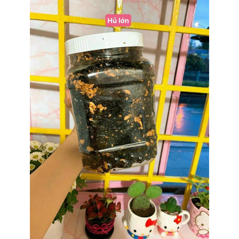 Rong Biển Nhà Làm Giòn Lắc Tỏi Phi Hủ Lớn