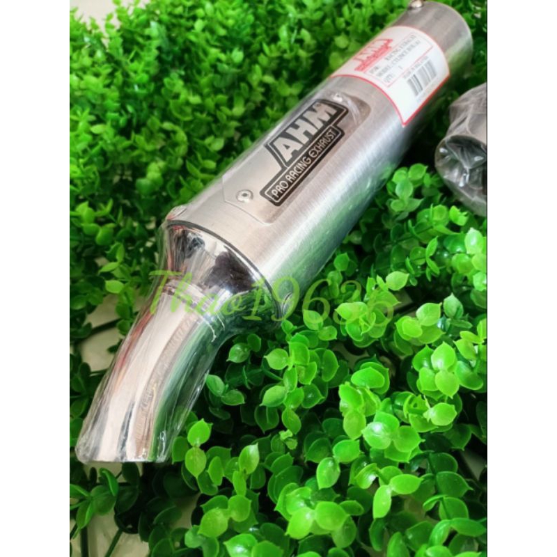 Bô tăng Xipo - Satria