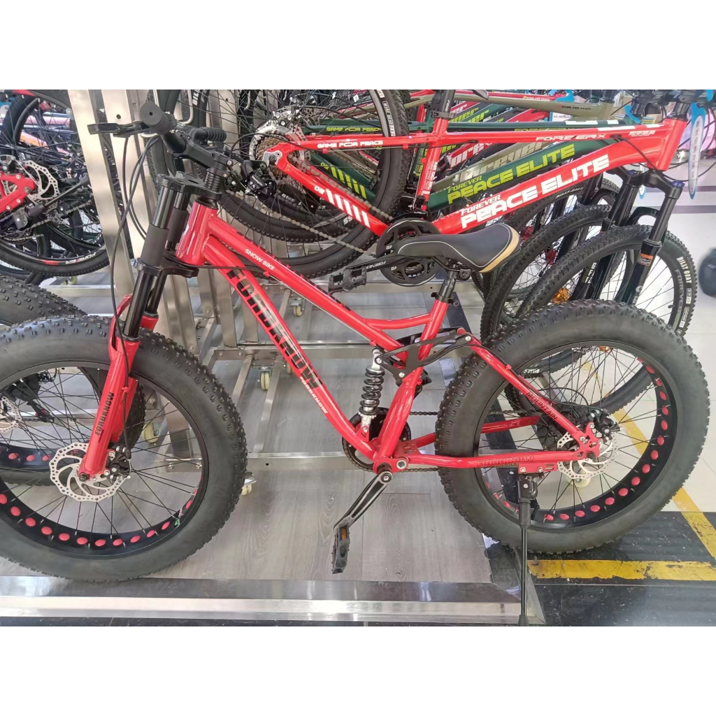 Xe đạp thể thao bánh béo