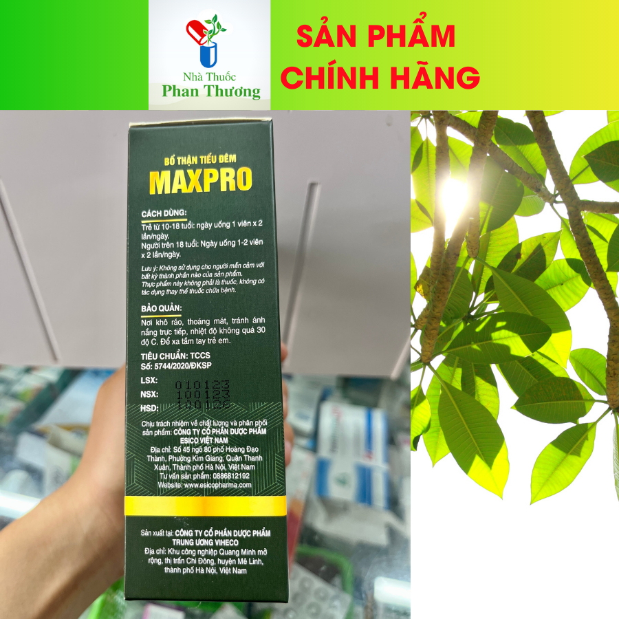 Viên tiểu đêm, bổ thận tiểu đêm Maxpro hỗ trợ bổ thận, giúp giảm tình trạng mệt mỏi, tiểu đêm, tiểu rắt hộp 30 viên