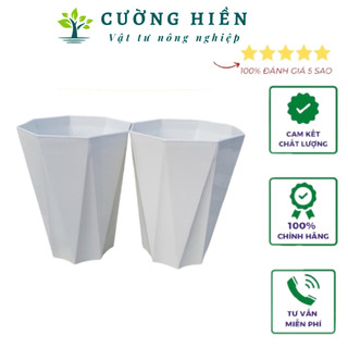 Chậu Cây Cảnh Đẹp [Siêu Sang] 30x45cm KIMCTO