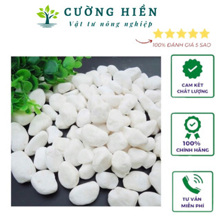 Combo 5 kg sỏi trắng trang trí SÂN VƯỜN (chọn Màu)