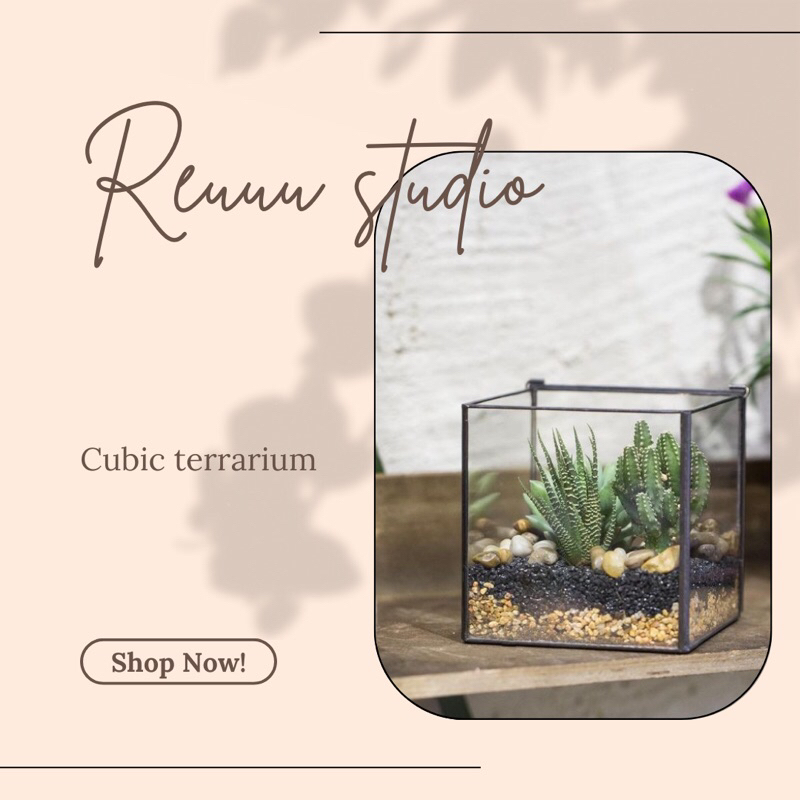 Bể kính mini cubic 10x10cm chơi terrarium , sen đá, xương rồng, không khí...
