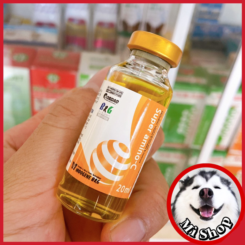 Uv Bamin plus B12 tăng lực, tăng bo cho gà đá