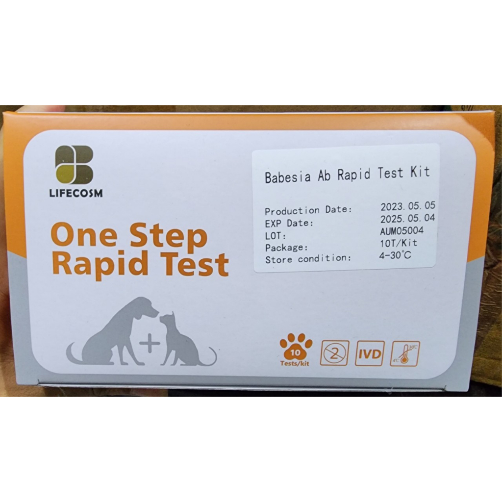 QUE TEST BỆNH KÍ SINH TRÙNG MÁU Ở CHÓ ECANIS, BABESIA, ANAPLASMA