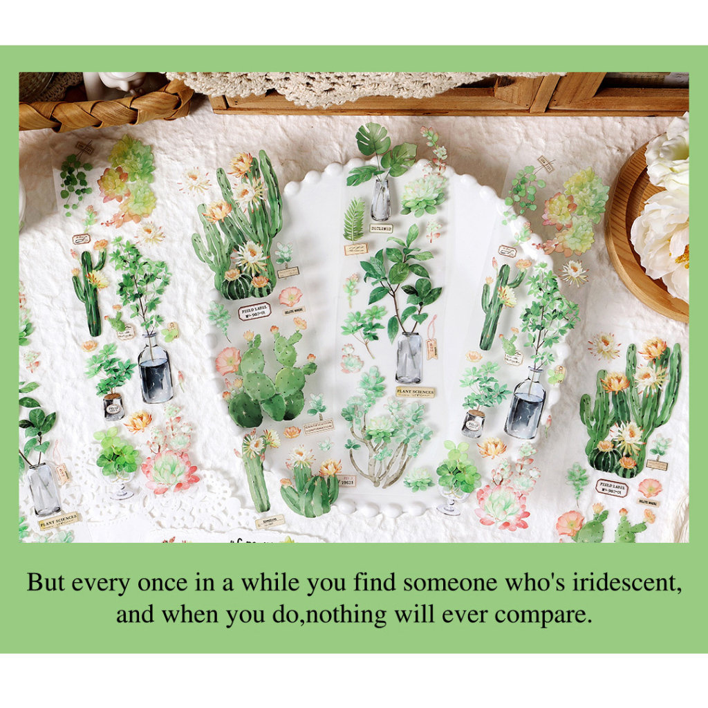 Set 6 Tấm Sticker PET Dán Trang Trí Sổ Tay DIY Bullet Journal Hình Hoa Lá