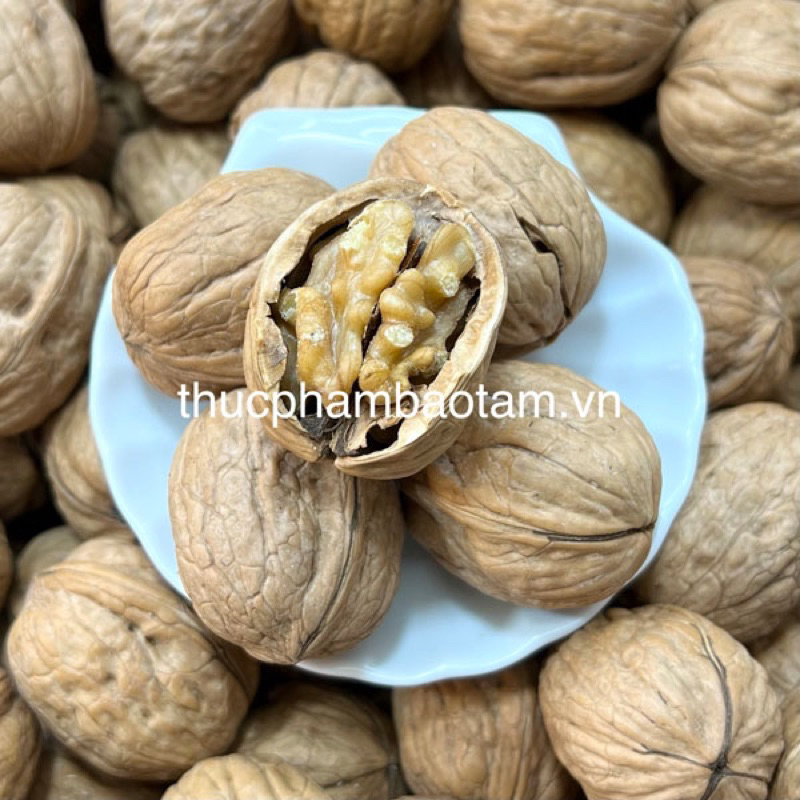 HẠT ÓC CHÓ CAO CẤP - Hàng Loại 1