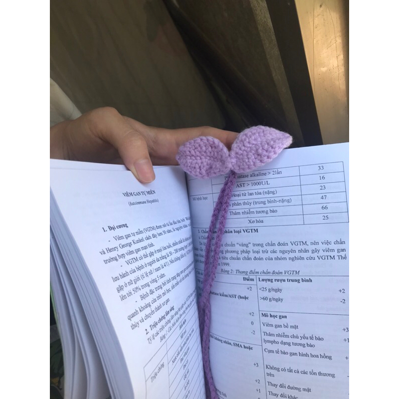 MẦM CÂY ĐA NĂNG