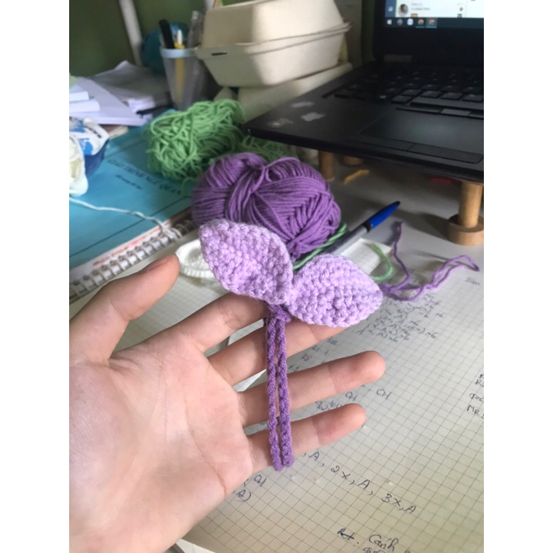 MẦM CÂY ĐA NĂNG