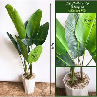 Cây chuối giả cảnh 1,2m, 1.4m, lá nhám sịn, kèm chậu. Trang trí nội thất, derco, phụ kiện chụp ảnh.