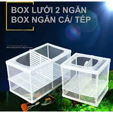Lồng dưỡng cá đôi có vách ngăn- lồng dưỡng cá đẻ - lồng tách cá