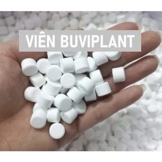 Gói 100 viên VITAMIN tan chậm siêu dưỡng chất cho các loại hoa , cây ăn quat