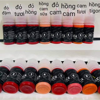 Mực Angelica Nga 10ml