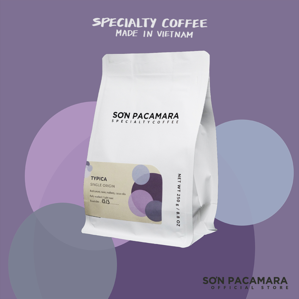 Gói Typica Từ Sơn Pacamara - Specialty Coffee Việt - Phù Hợp Pour Over / AeroPress / Cold Brew - Light Roast