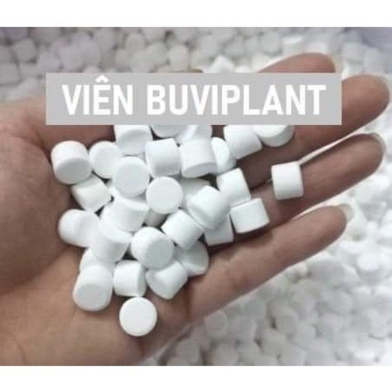 Gói 10 viên ViTAMIN BUVIPLANT siêu dinh dưỡng cho hoa , cây ăn quả