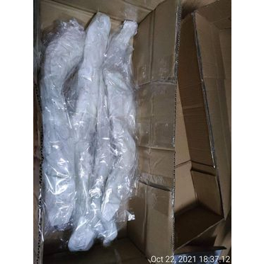 Sen Táo Vàng_ Củ Sen giống