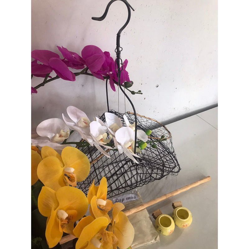 Lồng bẫy chim chào mào